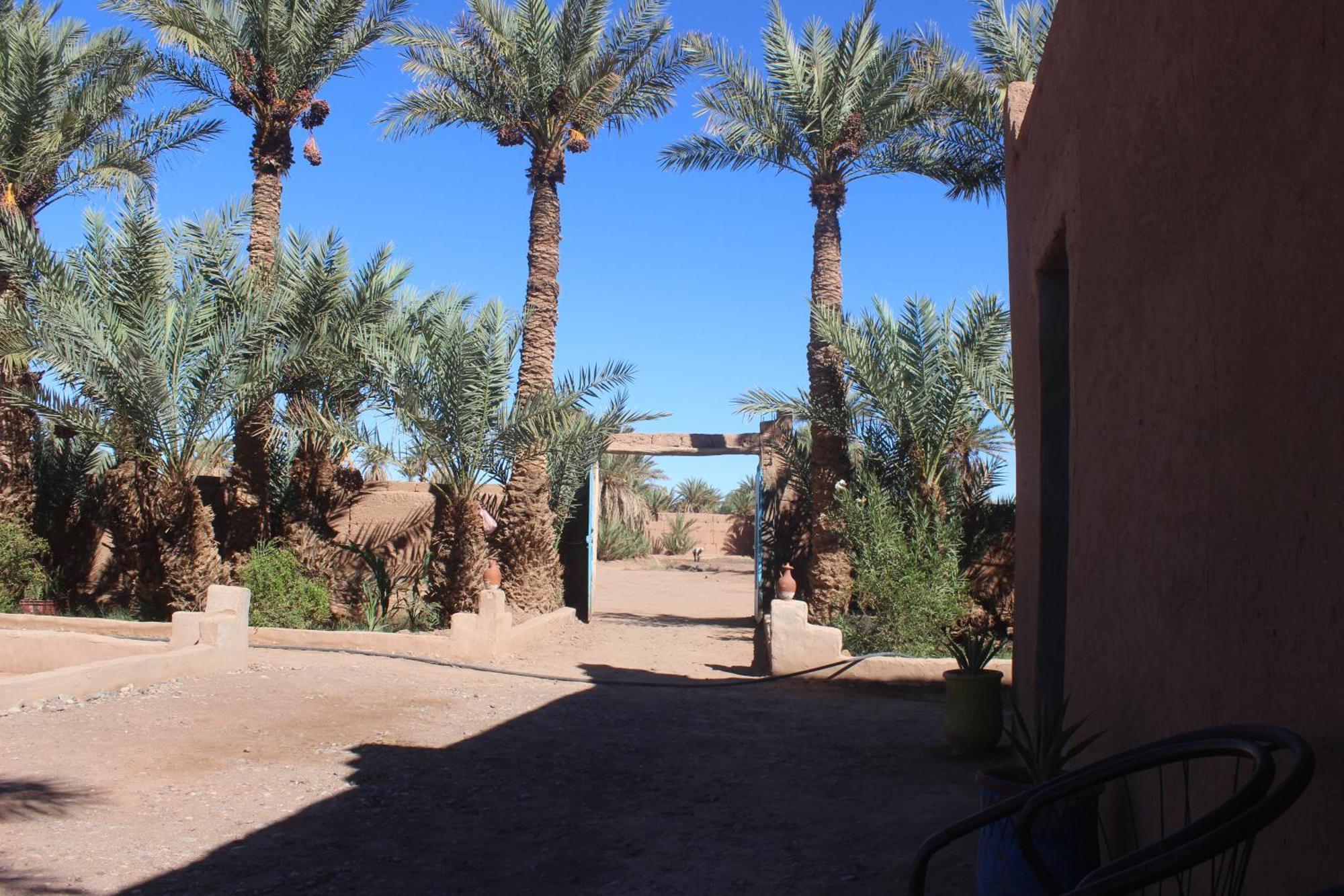 Kasbah Desert Camp M’hamid El Ghizlane Exterior foto