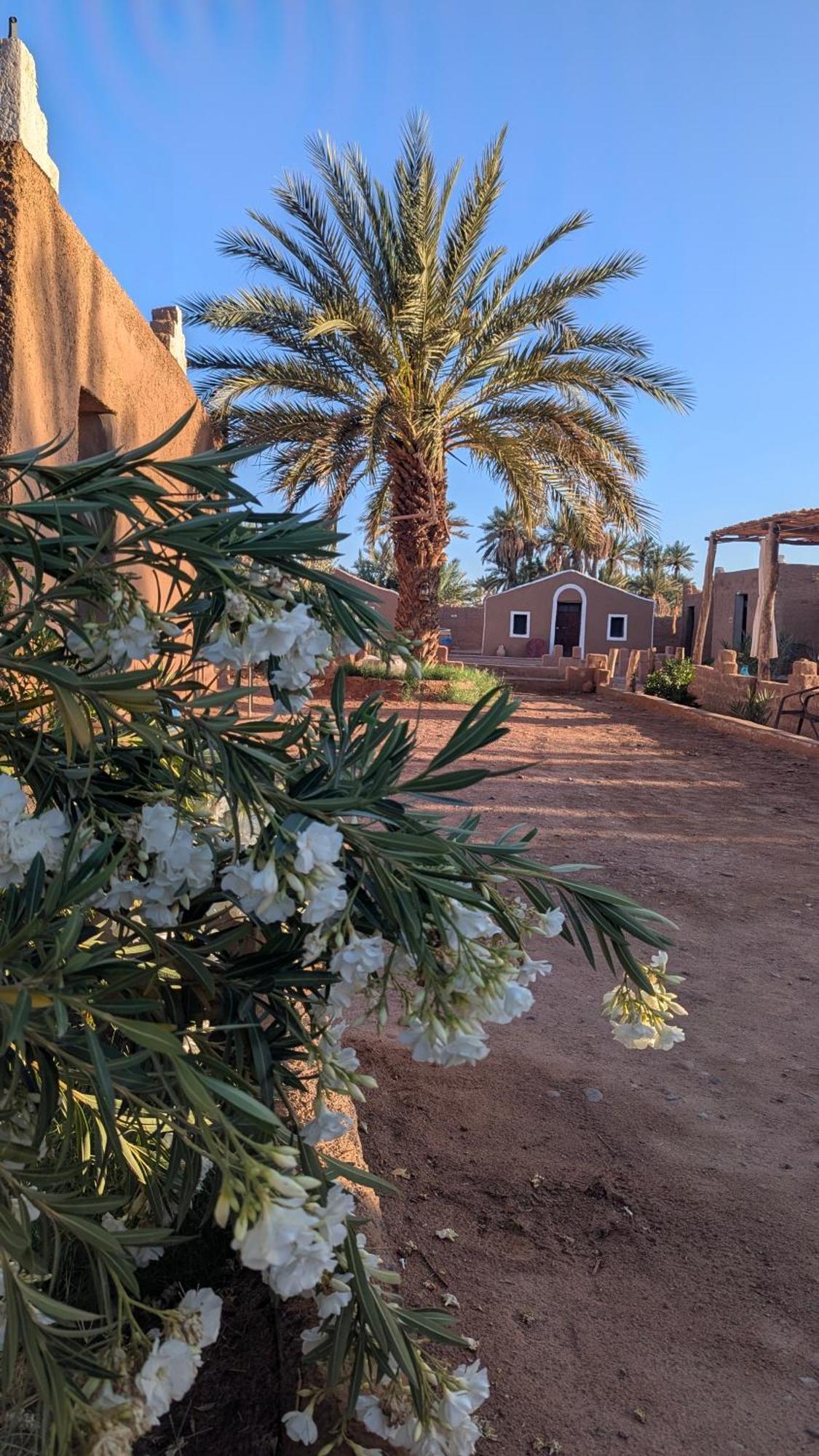 Kasbah Desert Camp M’hamid El Ghizlane Exterior foto